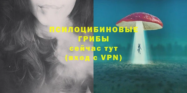 не бодяженный Каменск-Шахтинский