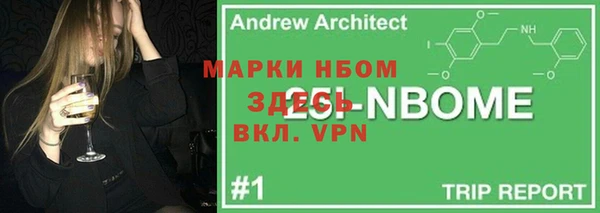 стафф Алексин