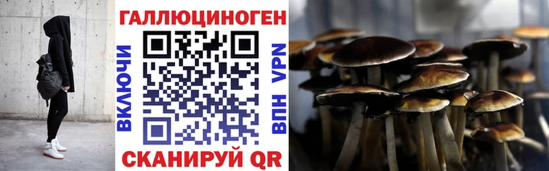 Псилоцибиновые грибы ЛСД  даркнет сайт  Болхов 